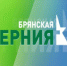 Коррекционный спортивный зал для детей с особенностями здоровья открылся в 50-й школе города Брянска - Газета Севская правда