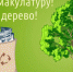 Спасаем деревья Брянщины - Газета Севская правда