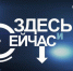 Наталью Новикову пригласила в прямой эфир «Брянская губерния» - Газета Севская правда