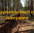 Пожароопасный сезон завершен - Газета Севская правда