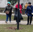 Сквер Гайдукова убирают в Брянске работники департамента внутренней политики - Газета Севская правда