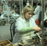 На Брянщине стартовала программа профобучения - Газета Севская правда