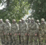 В Брянской области из добровольцев сформировали отряд в помощь пограничным войскам - Газета Севская правда
