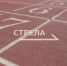 Три брянских тренера получат квартиры - Газета Севская правда