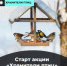 Как сделать правильную кормушку и помочь пернатым зимой: стартовала акция «Хранители птиц» - Газета Севская правда