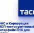 ФНС и Корпорация МСП тестируют новый интерфейс ЕНС для юрлиц - Газета Севская правда