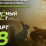 Брянцев приглашают принять участие в экологическом тестировании «Зелёный Зачёт» - Газета Севская правда