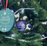 Александр Богомаз открыл «Ёлку желаний» - Газета Севская правда