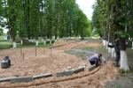 В Красной Горе продолжится благоустройство парка
