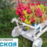 В Сеще два двора благоустроят за два млн рублей - Газета Севская правда