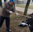 Брянцы вышли на первый общеобластной субботник - Газета Севская правда