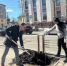 В Брянске на проспекте Ленина высадили 10 австралийских клёнов - Газета Севская правда