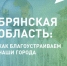 Две недели осталось до окончания голосования за объекты благоустройства в Брянской области - Газета Севская правда