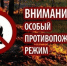 В лесах Брянской области будет введен особый противопожарный режим - Газета Севская правда