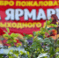 Во всех районах города Брянска продолжают работу ярмарки выходного дня - Газета Севская правда